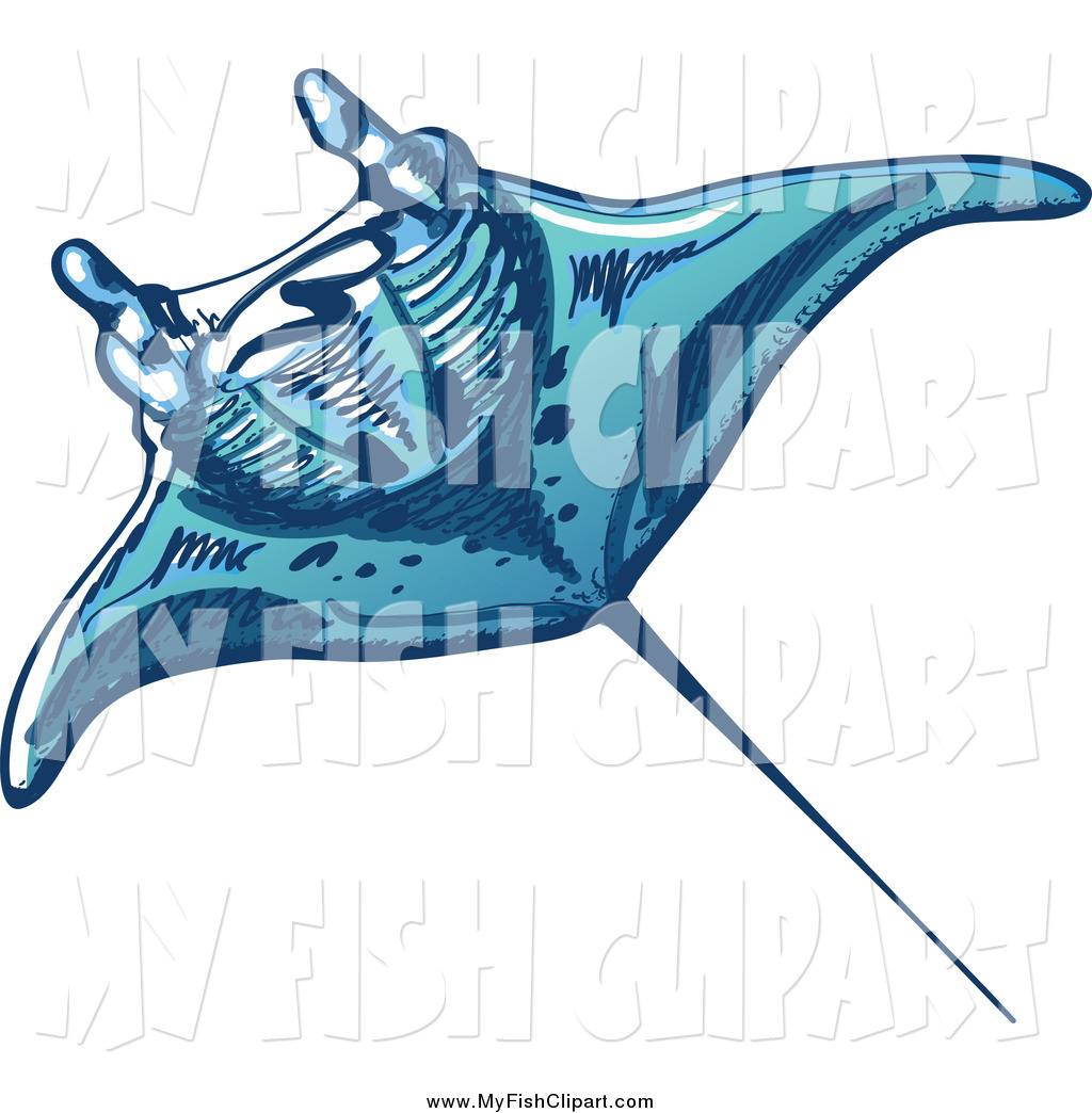 1024x1044 Clip Art Of A Swimming Blue Sting Ray By Zooco