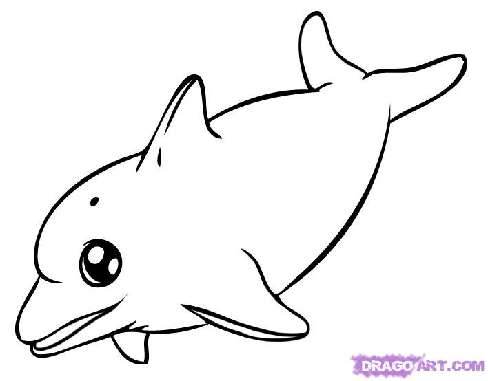 708x554 Drawn Sea Life Dolphin Swimming