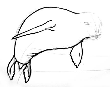 450x354 How To Draw A Seal