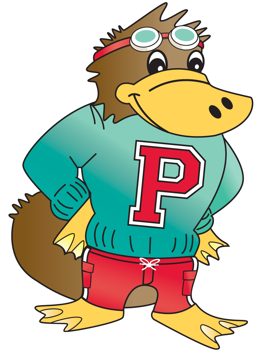 884x1192 Class Levels Ages 2 And Up Pro Swim Academy