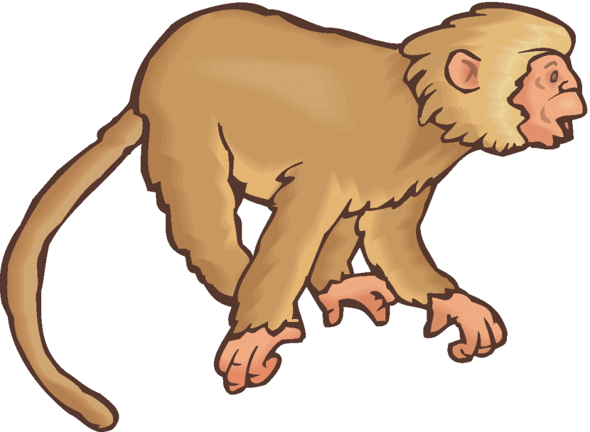 830x608 Top 89 Monkey Clipart