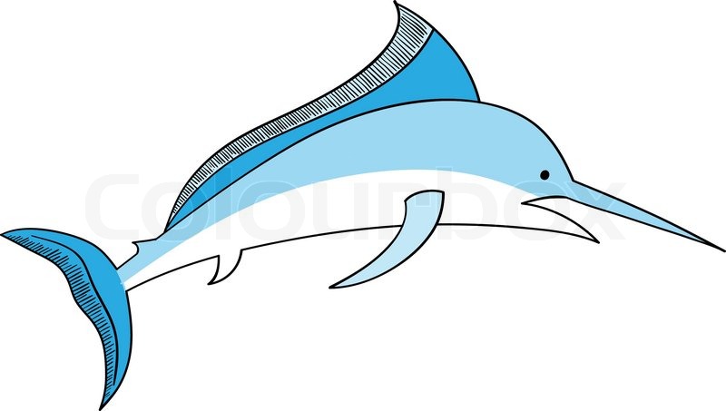 800x453 Simple Vector Swordfish Isolated On The White Stock Vector