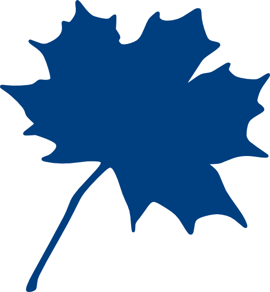 552x597 Maple Leaf Clip Art 5