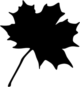 276x299 Sycamore Leaf Clipart