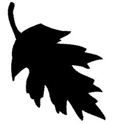 236x245 Drawings Of Nuts And Leaves Leaf Silhoette 1