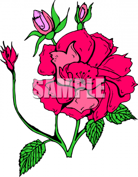 273x350 Rose Clipart Sympathy Flower