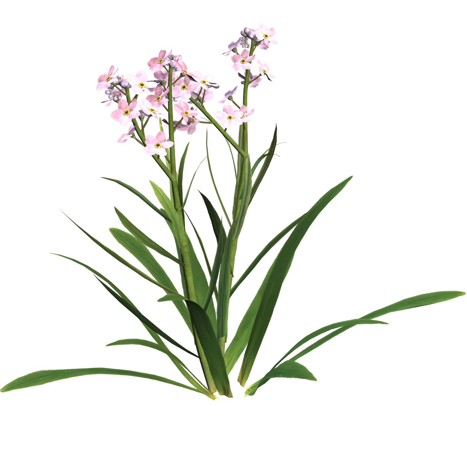 1600x1600 Sympathy Clip Art Free Clipart Images 3