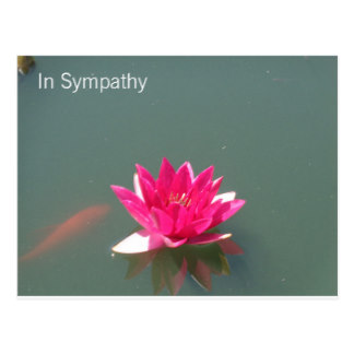 324x324 Custom Sympathy Postcards Zazzle.ca