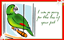 258x162 Printable Pet Loss Parakeet Bird Sympathy Condolence Greeting Cards