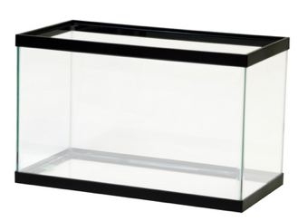 329x244 Fish Tank Clip Art Many Interesting Cliparts