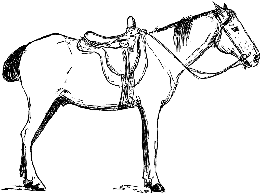 1024x761 Horse Clipart Etc