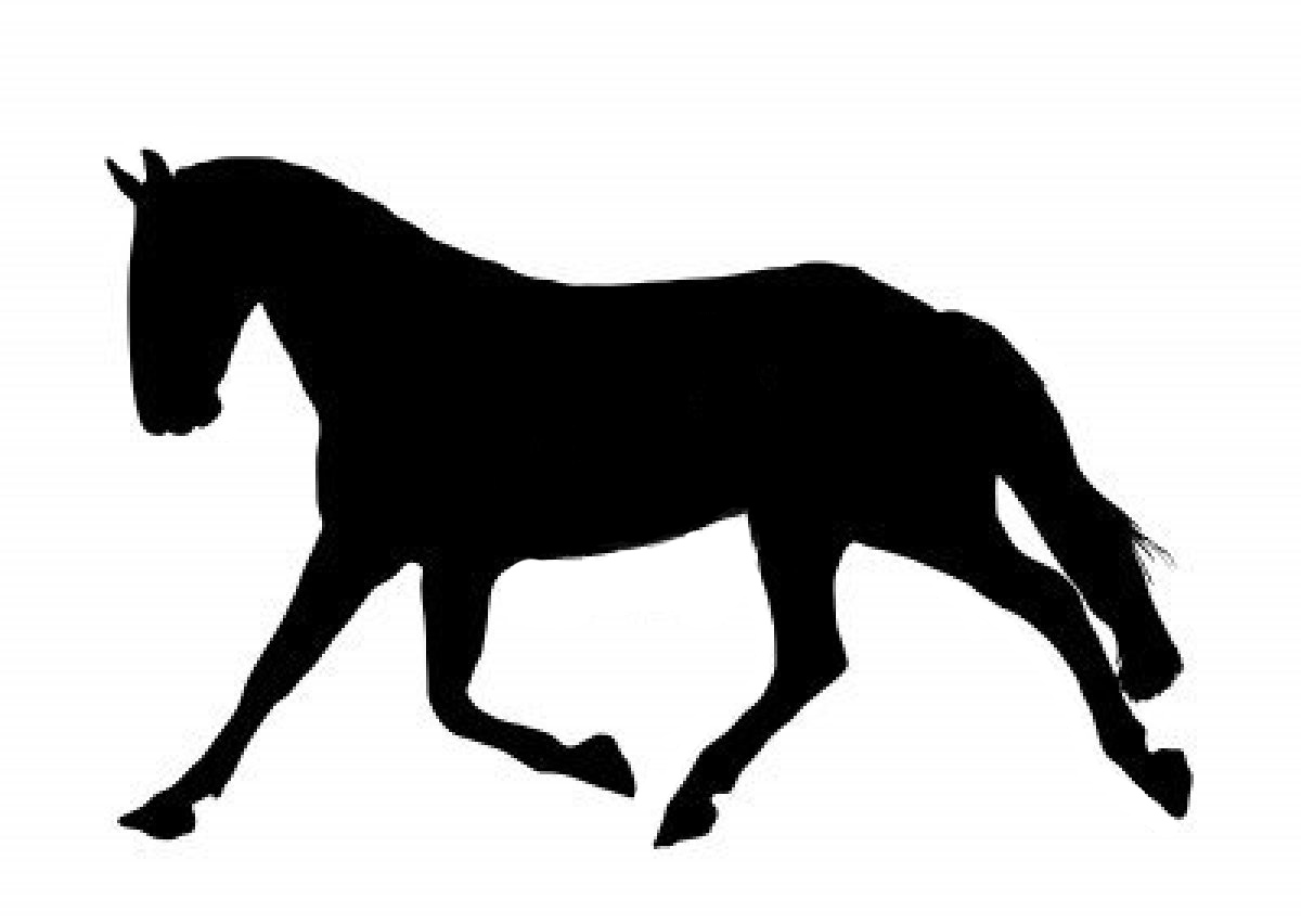 1200x852 Horse Tack Clipart