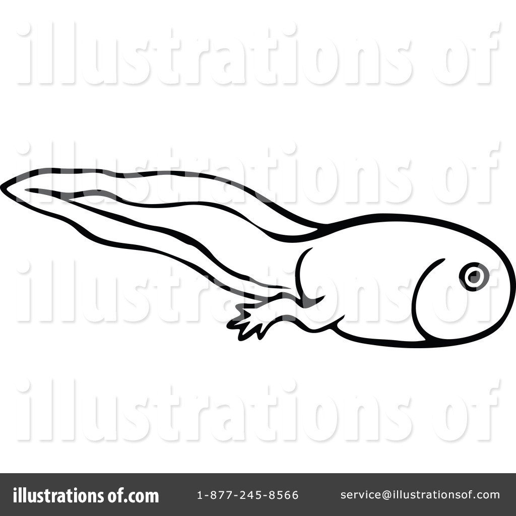 1024x1024 Tadpole Clipart