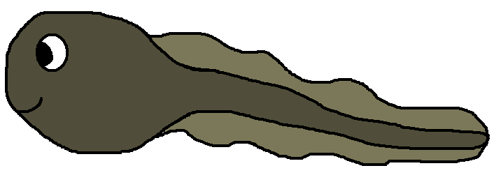 706x261 Tadpole Clipart
