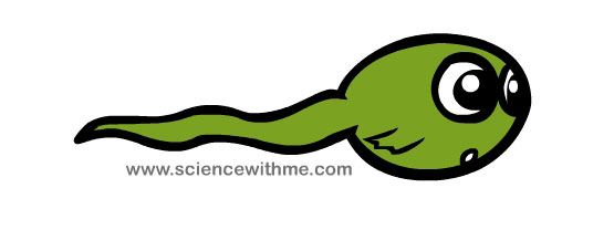 555x208 Tadpole Clipart Animated