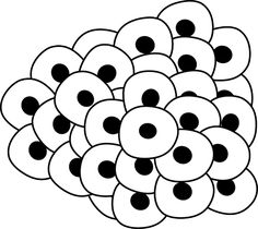 236x210 Frog Tadpole Clipart