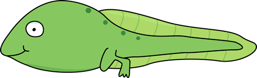 500x152 Tadpole Clipart Cute