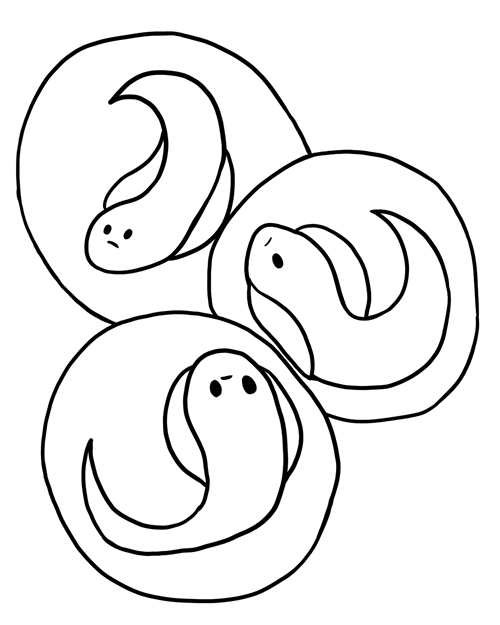 500x625 Tadpole Clipart Frog Egg