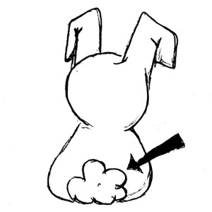 300x300 Tail Clip Art Clipart Panda