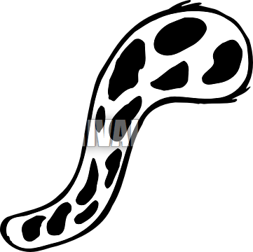 361x360 Cheetah Clipart Tail