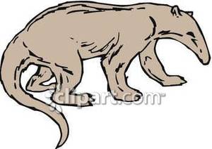 300x212 Long Tail Dog Clipart Free