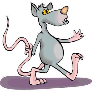 300x300 Rat Holding Tail Clipart, Cliparts Of Rat Holding Tail Free
