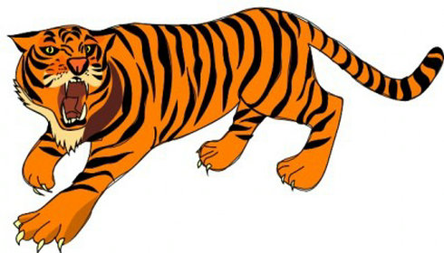 490x280 Tiger Head No Tail Clipart Vector