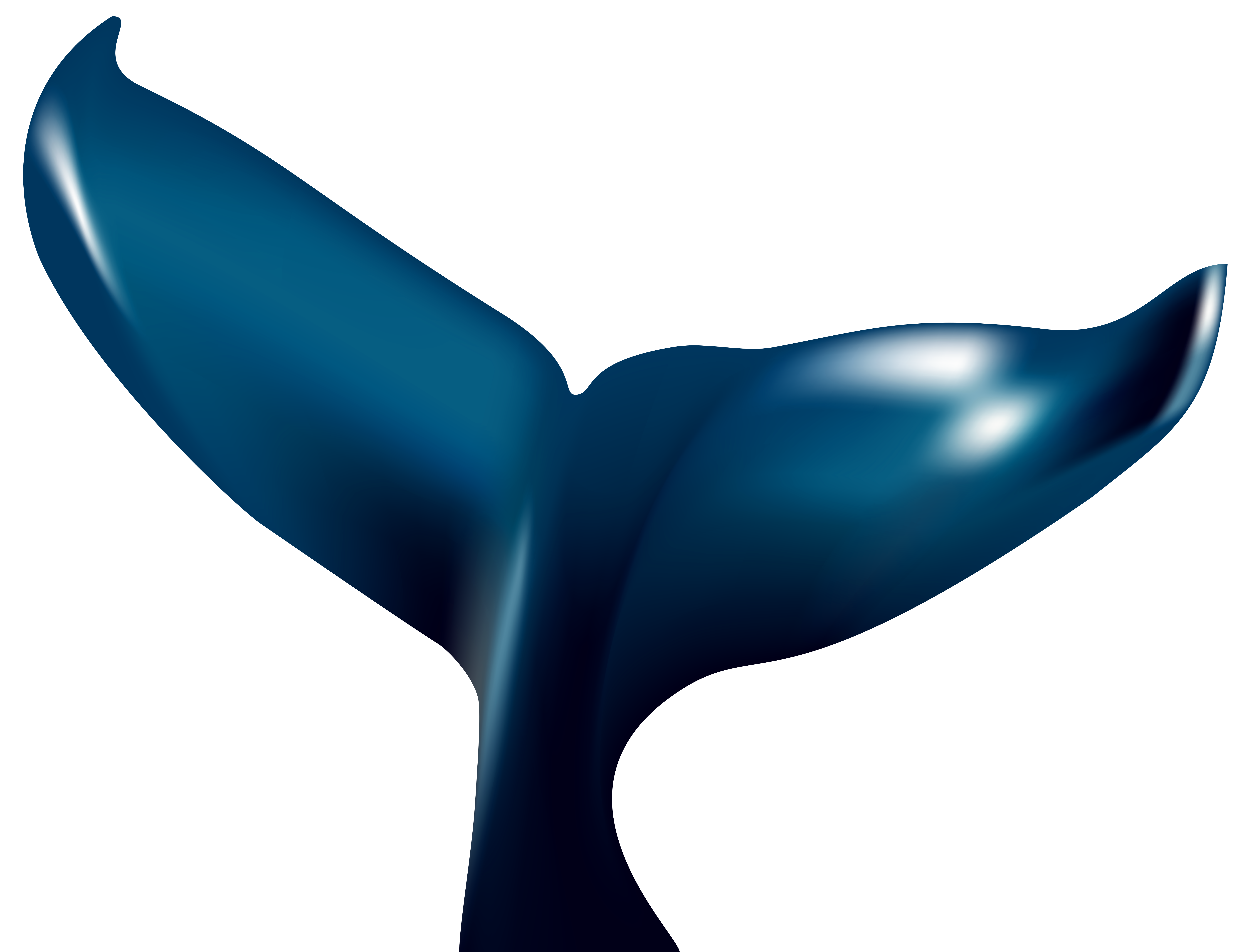 8000x6099 Whale Tail Clip Art Many Interesting Cliparts