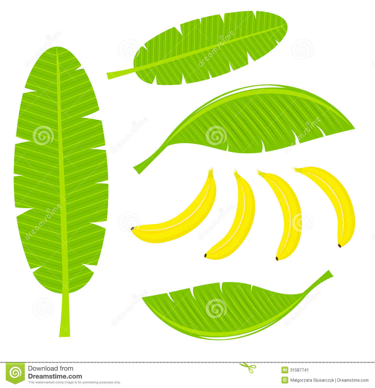 1300x1346 Tamale Leaves Clipart