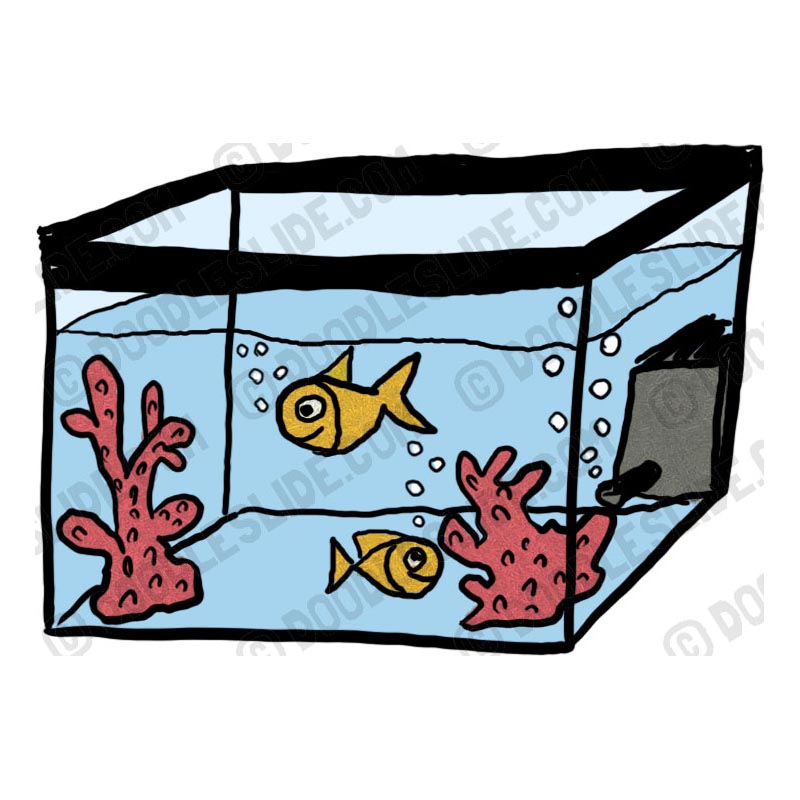 800x800 Fish Tank Clip Art Many Interesting Cliparts