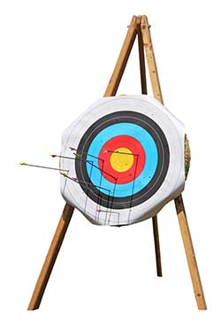 250x375 Target Practice Definition And Meaning Collins English Dictionary