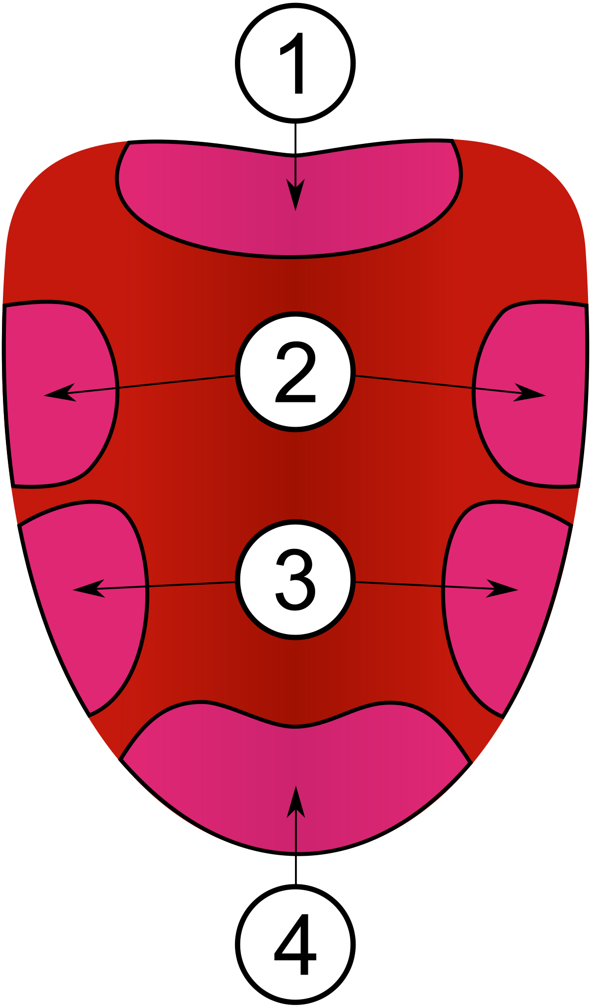 1200x2046 Tongue Clipart Taste Bud