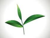 170x128 Tea Leaf Clip Art