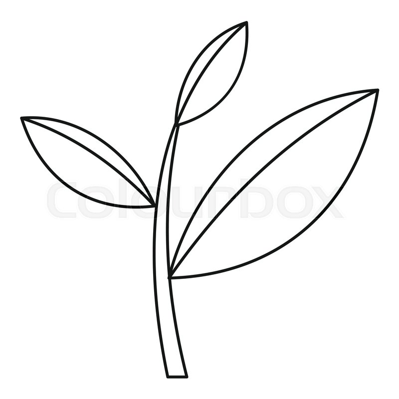 800x800 Tea Leaf Icon. Outline Illustration Of Tea Leaf Vector Icon
