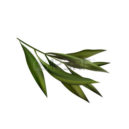 450x450 Tea Plantation Leaf Clipart, Explore Pictures