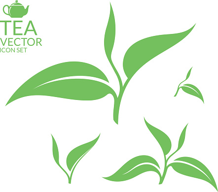 442x390 Graphics For Green Tea Leaf Graphics