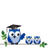 162x170 Clipart Of Owl Teacher And Pupils K6550420