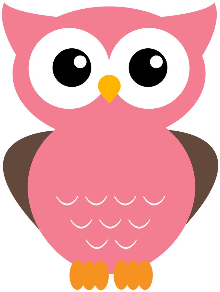 736x978 123 Best Owl Clipart Images Patterns, Owl And Pictures