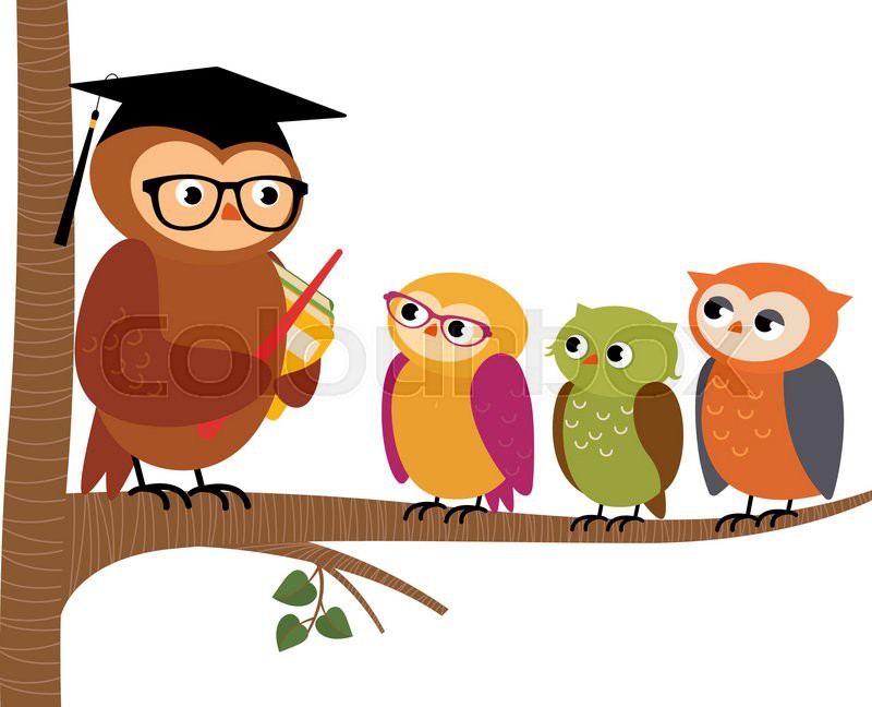 800x648 Stock Vector Cartoon Illustration Owl Teacher And His Students