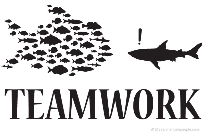 800x526 Why Teamwork Works Natalia Wilson Pulse Linkedin