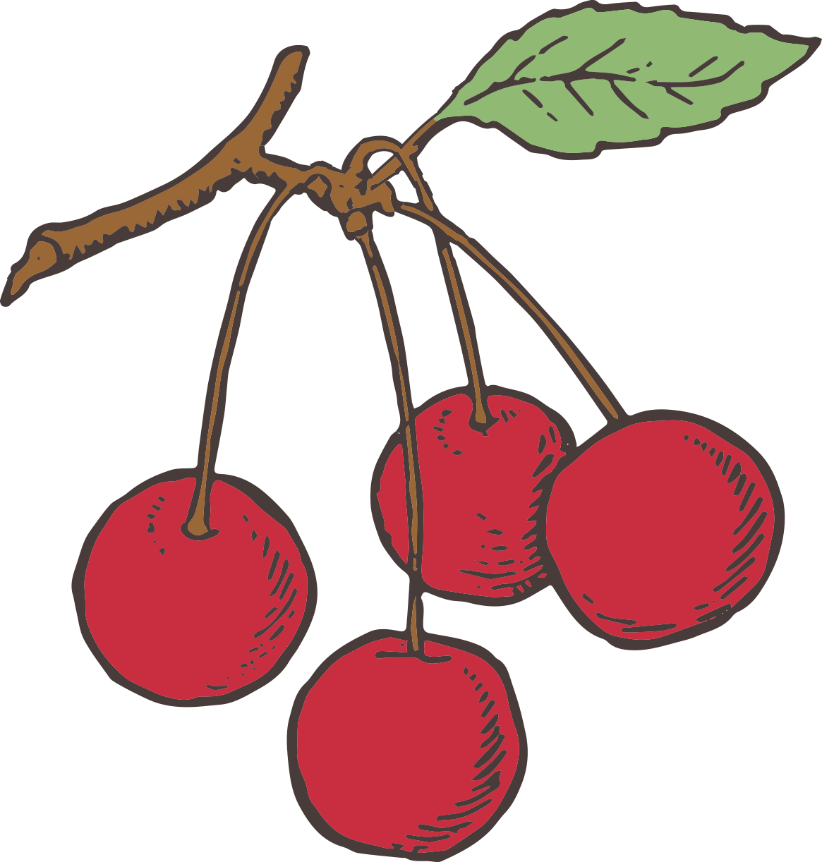 1165x1222 Tea Pot And Cup Clip Art With Radish And Cherries Clip Art