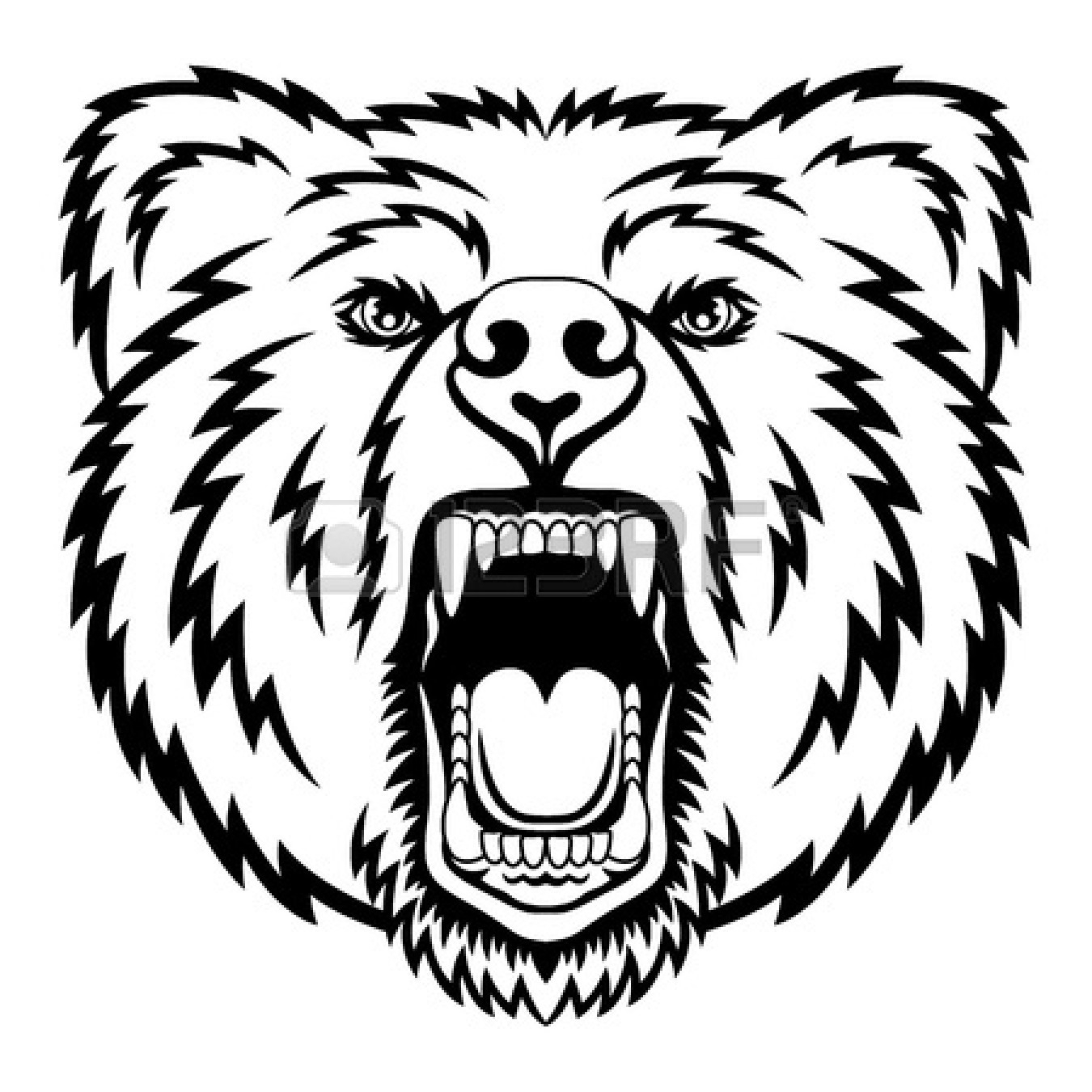 1350x1350 Drawing A Bear Face How To Draw Grizzly Bear Drawing Image Gallery