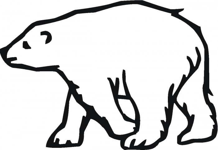 700x484 Outline Of A Bear