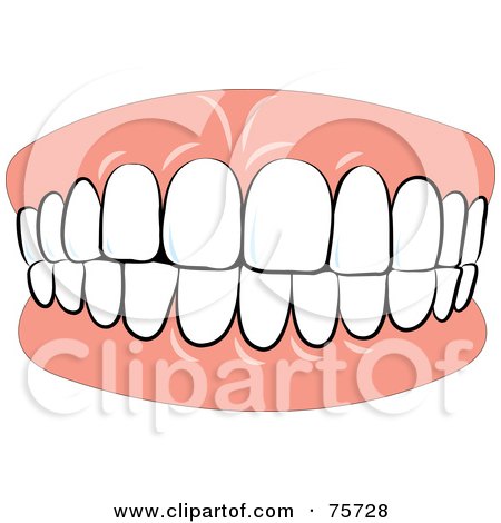 450x470 Fake Teeth Clip Art Cliparts