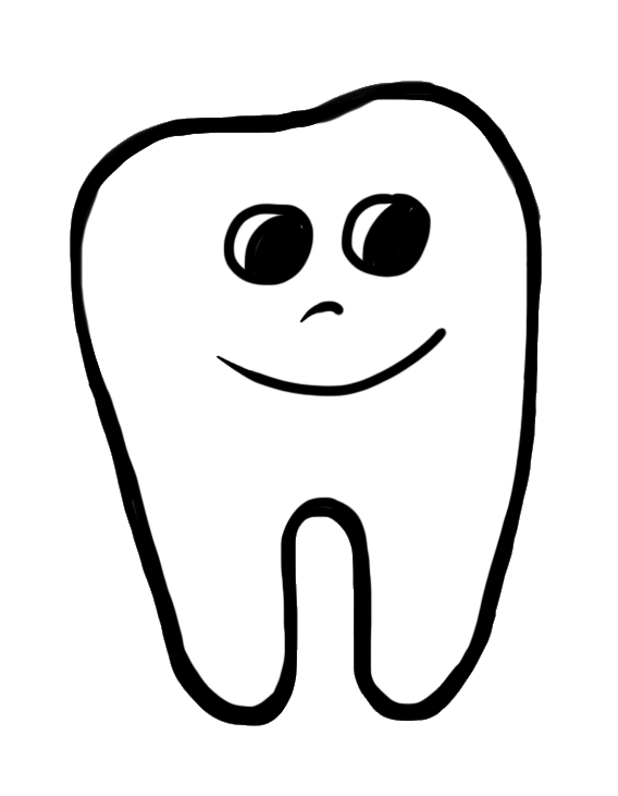 568x731 Tooth Clipart