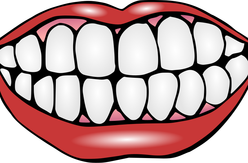 800x526 Stunning Clip Art Tooth Mouth With Teeth Clipart Free Images