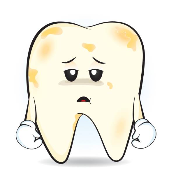 580x612 With Flexible Head Brushing Teeth Clipart, Explore Pictures