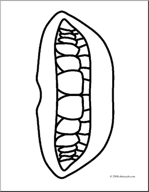 304x392 Pictures Teeth