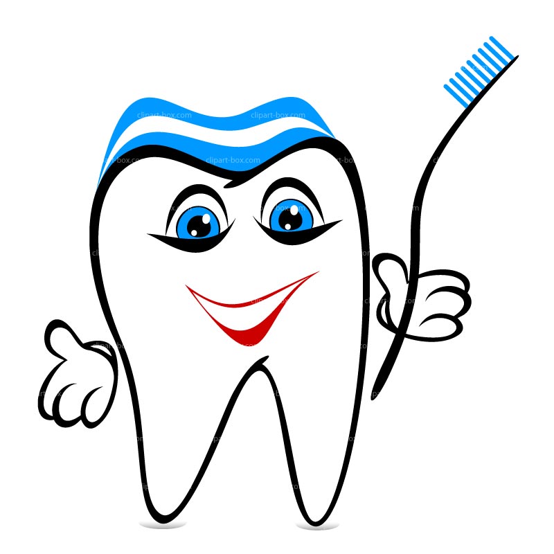800x800 Free Tooth Clipart
