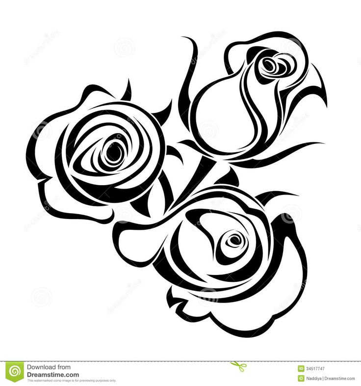 736x786 23 Best Trible Roses Images Silhouette, Chinese